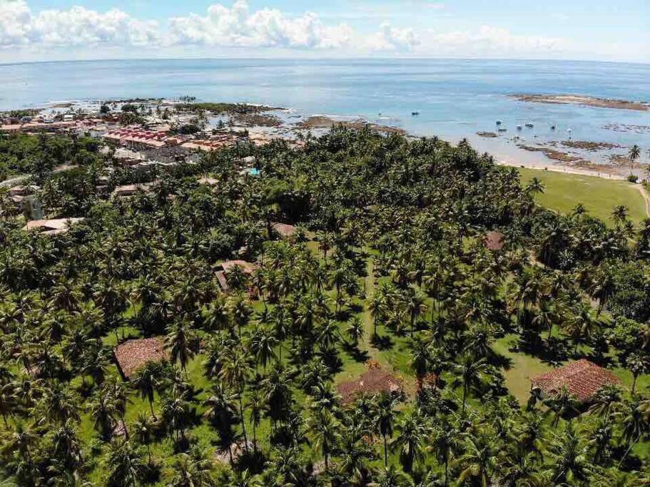 Casinha Jardim Das Palmeiras Morro de São Paulo Exteriör bild